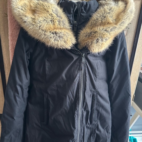 Aritzia Babaton “Chamonix parka” - Picture 2 of 12